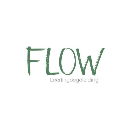 Flow Leerlingbegeleiding